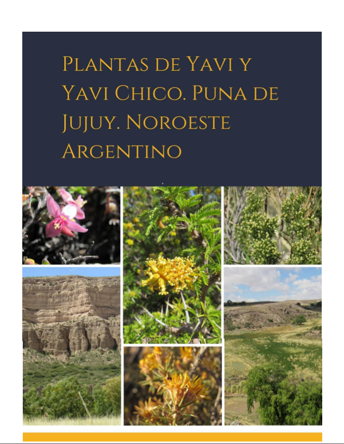 Portada de PLANTAS DE YAVI Y YAVI CHICO PUNA DE JUJUY NOROESTE ARGENTINO